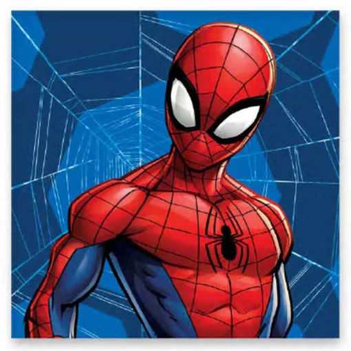 Picture of SPIDERMAN LUNCH NAPKIN 30X30CM